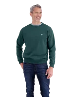 Pánská mikina LERROS zelená