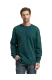Pánská mikina TOM TAILOR zelená - M