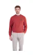 Pánský mikina LERROS červená